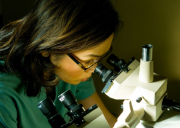 at Microscope