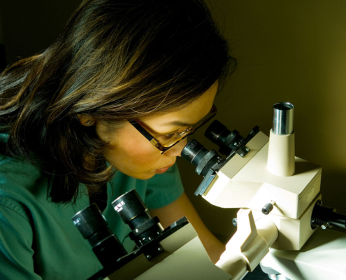 at Microscope