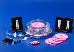 Brincubator2